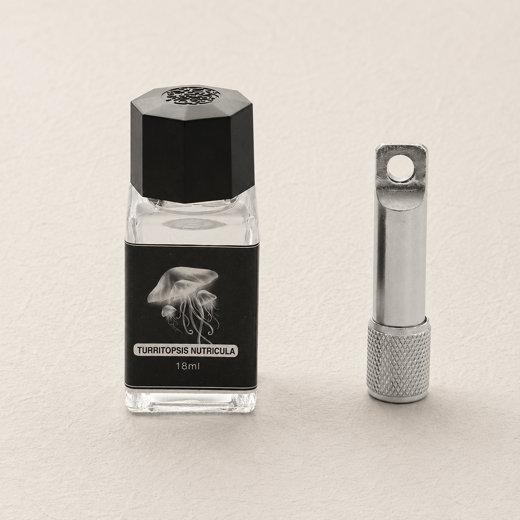 Ikane Studio Encre Encre invisible UV – encre d'expérimentation