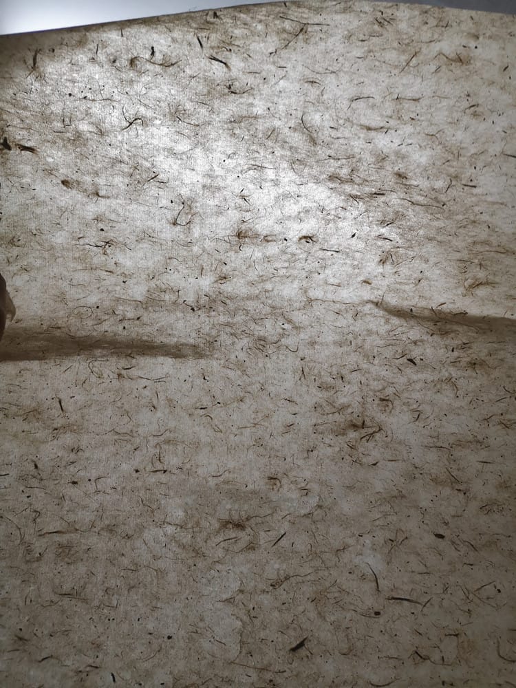 Ikane Studio Bloc de papier Papier artisanal en fibres de mûrier