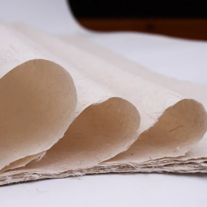 IKANE WORLD Papier Xuan semi-mûr - 10 feuilles