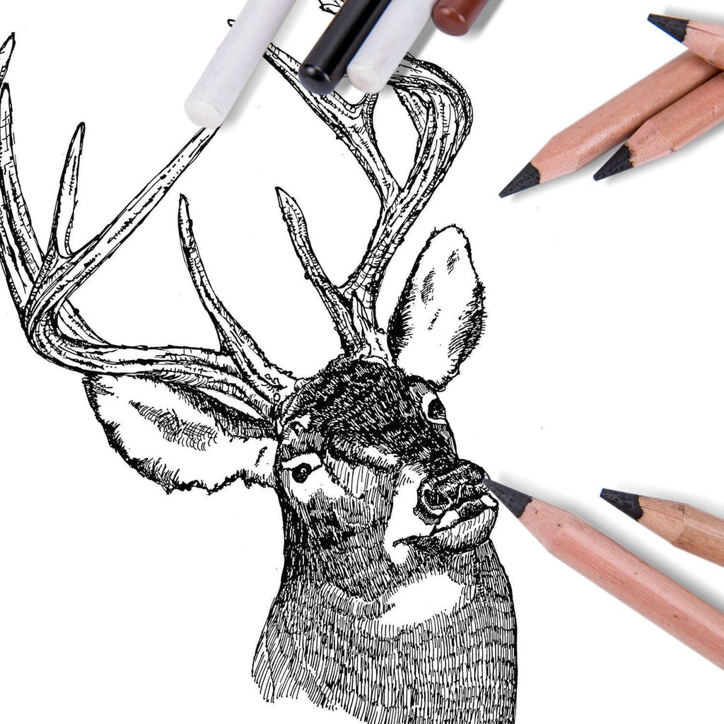 Ikane Studio Matériel d'art / Dessin / Crayon Set de fusains noir, blanc, sanguine & sépia